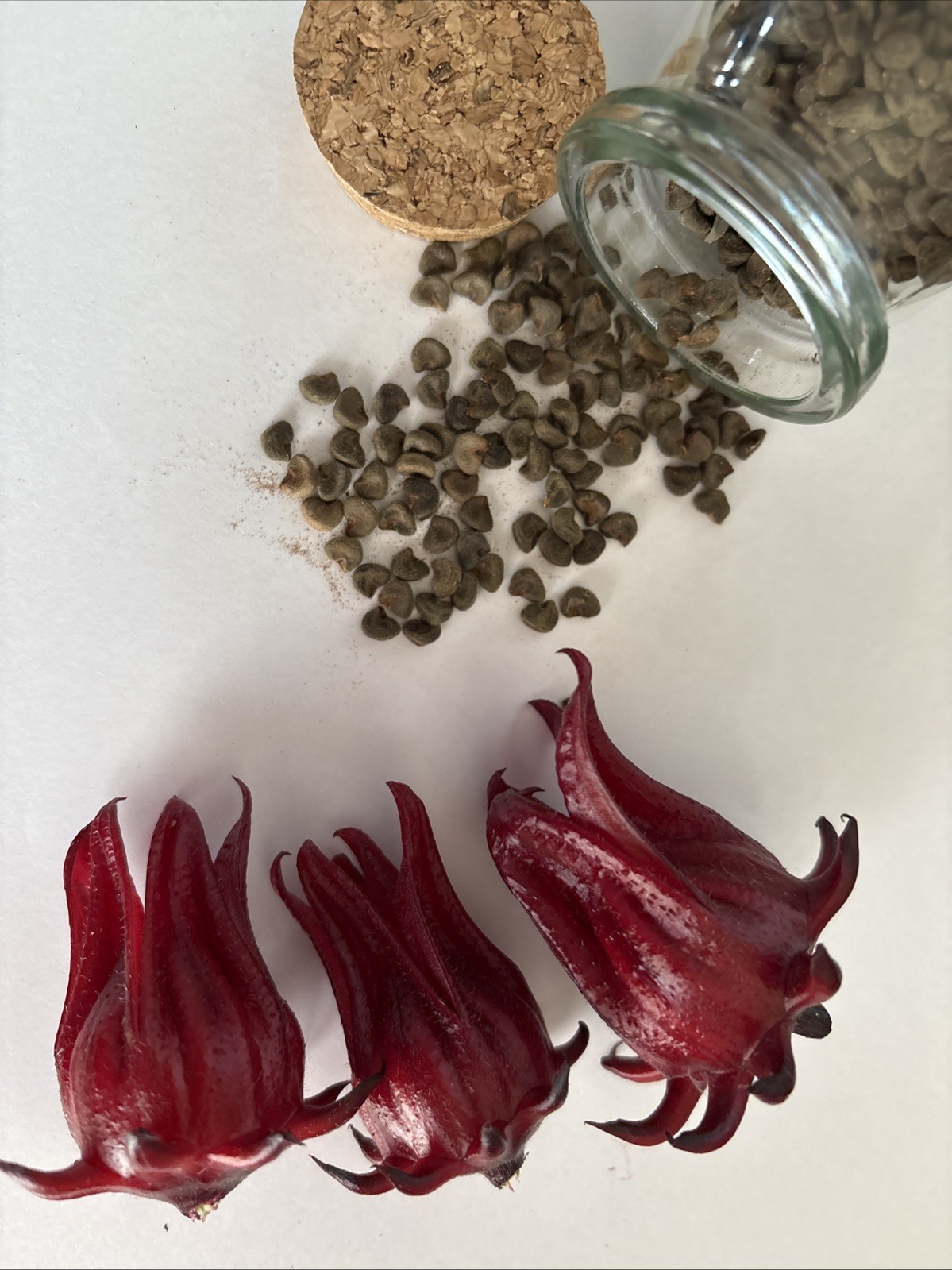 Hibiscus Sorrel Seeds/Roselle 50 seeds