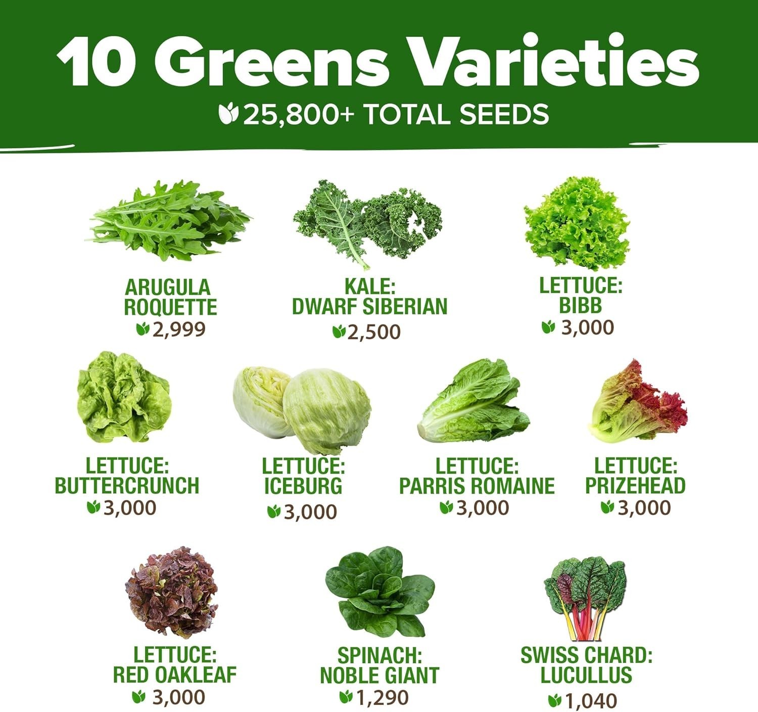 Versatile Non-GMO Lettuce Seeds: 10 Varieties for Any Gardener’s Delight