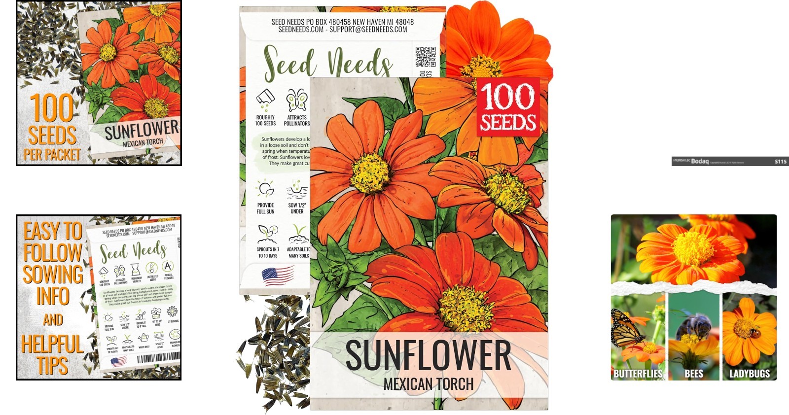 Mexican Sunflower Seeds – Heirloom Tithonia for Butterfly Gardens – 1 Pack