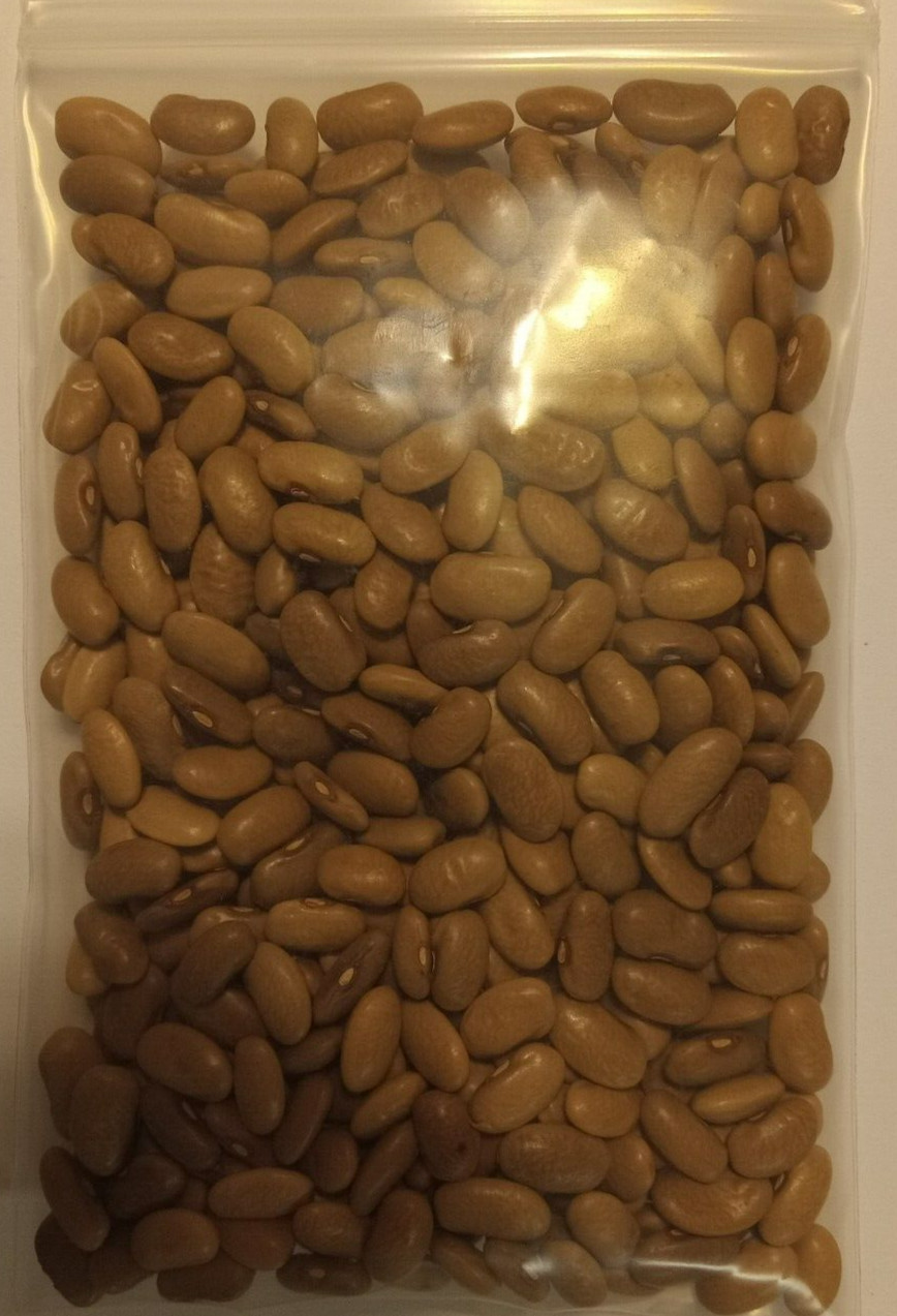 Bean Kentucky Wonder Green (Pole) Approximately 400 seeds