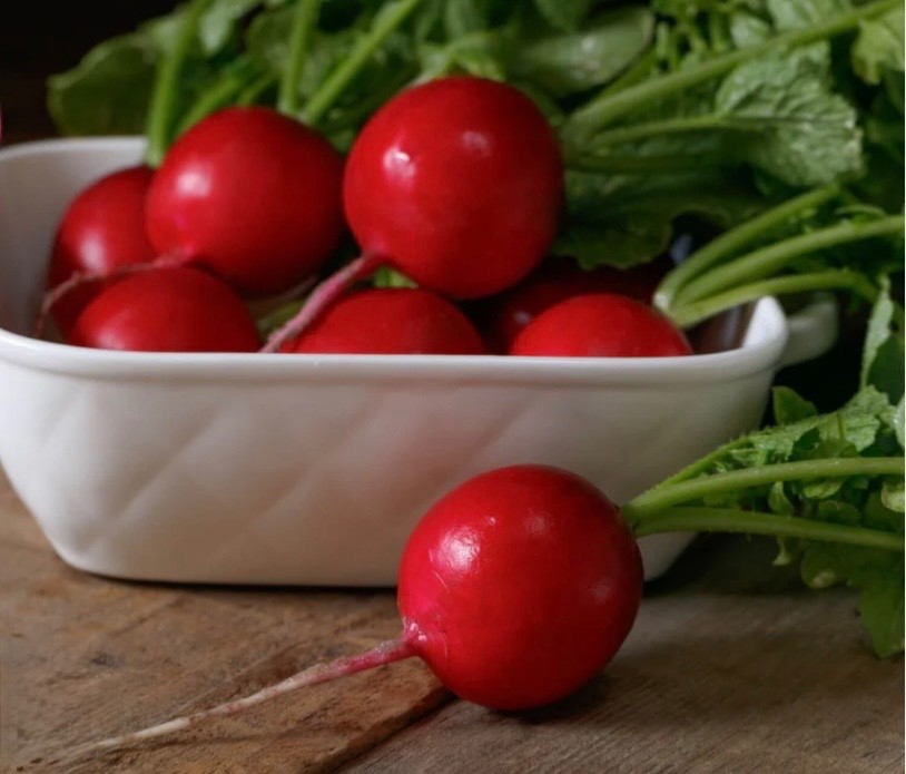 Champion Radish, Fresh Organic Seeds – Non-GMO – Crisp & Mild – USA Seller 🇺🇸