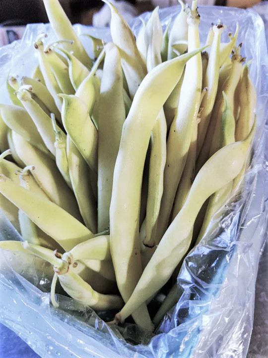 Bai Bu Lao Romano Bean Seeds | Pole Beans White Light Green Flat Roma Seed 2024