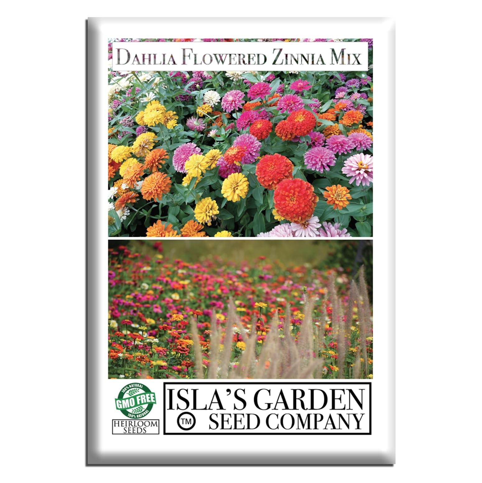 Dahlia Flowered Zinnia Mix Seeds (Zinnia Red, Pink, Yellow, White, Orange