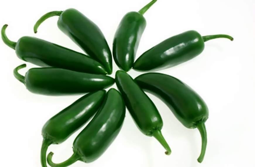 Organic Jalapeño Pepper Seeds Non-GMO Heirloom 2026 – Hot & Spicy Green/Red Pods