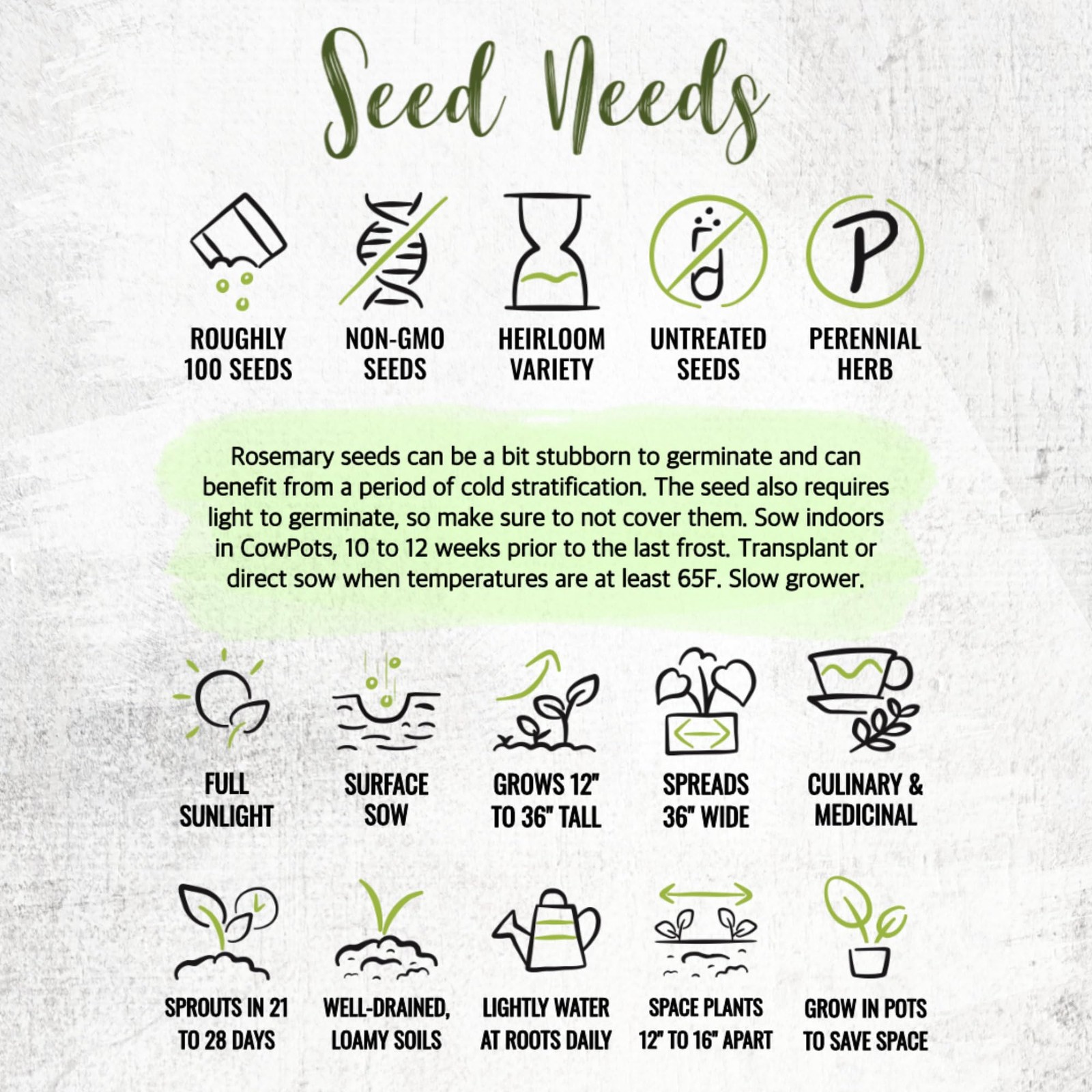 Seed Needs Rosemary Seeds for Planting – Non-GMO Heirloom & 1 Pack,