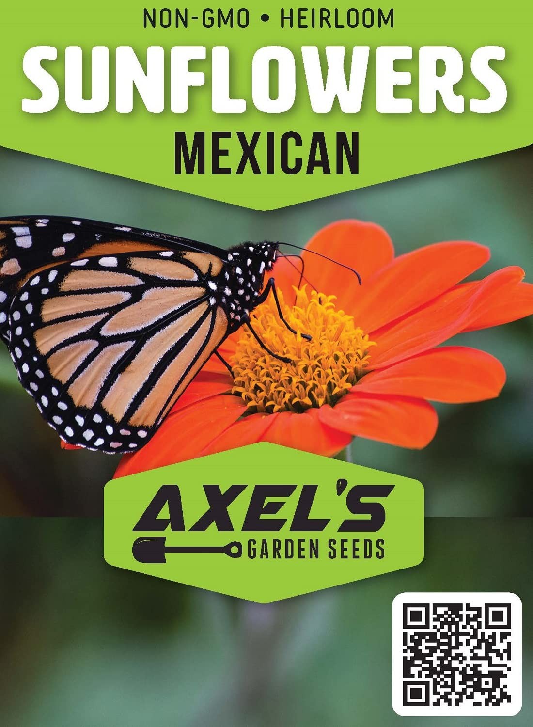 Mexican Sunflower Seeds for Planting – Plant & Grow Heirloom Orange