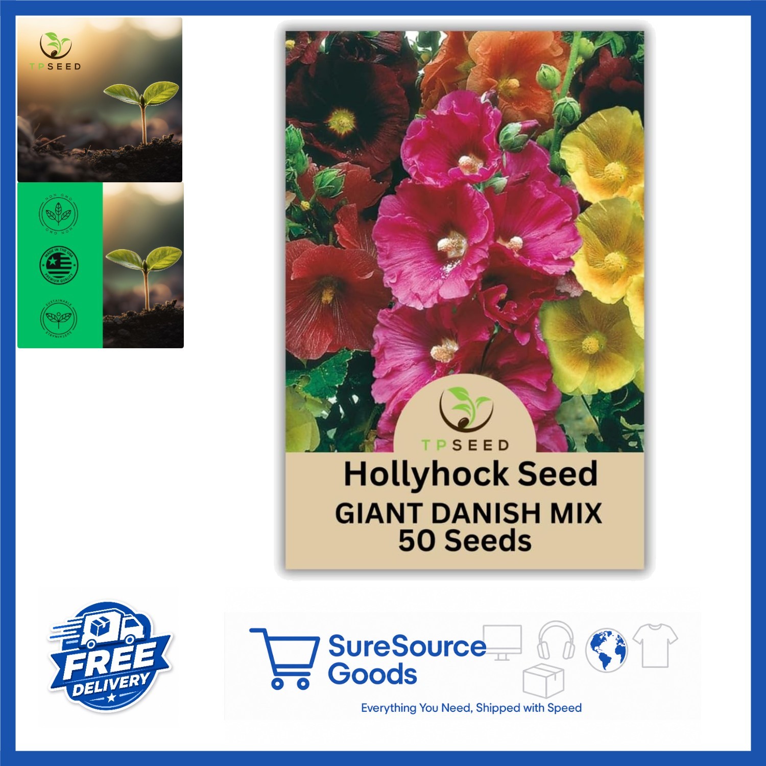 Giant Danish Mix Hollyhock Seeds 50 Count Biennial Flowers for Outdoor Garden