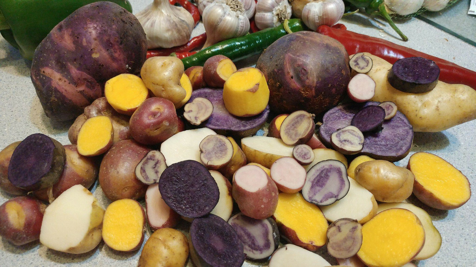 True Potato Seeds 50 seeds Organic TPS Purple Red Yellow Color Mix Potato Berry