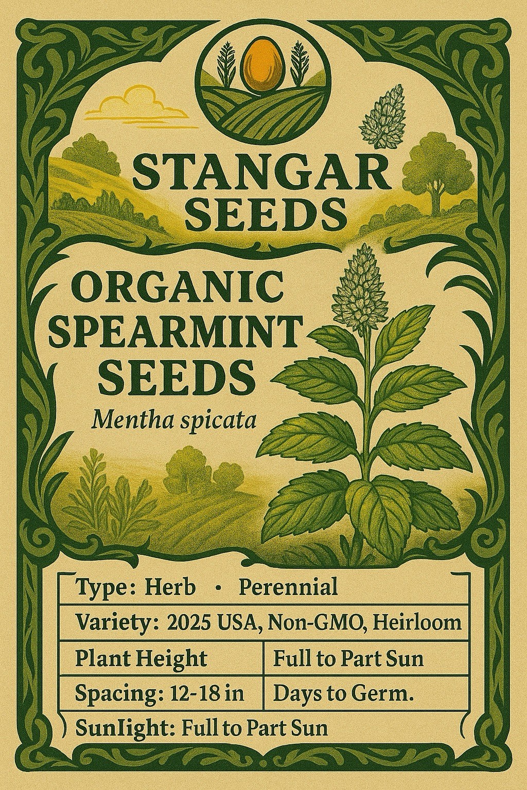 Spearmint Seeds Organic Non GMO Free Shipping!
