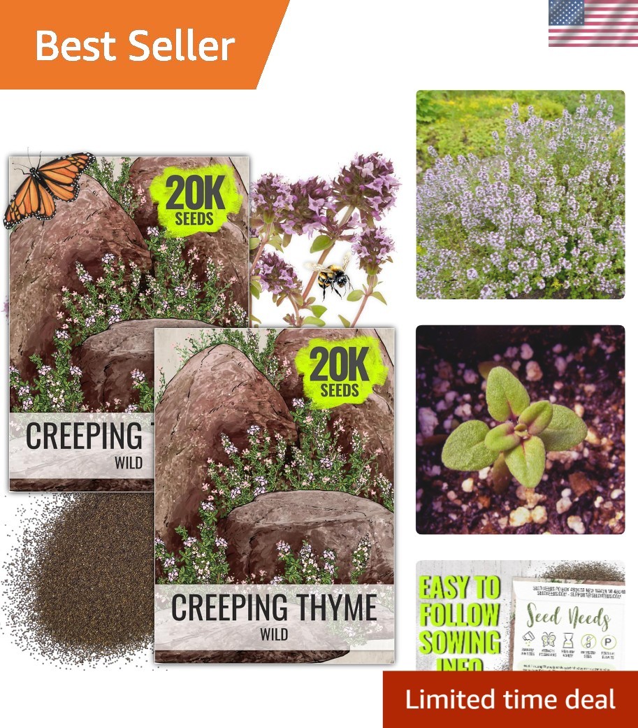 Attractive Heirloom Wild Creeping Thyme Seeds – 40K Count for Aesthetic Gardens