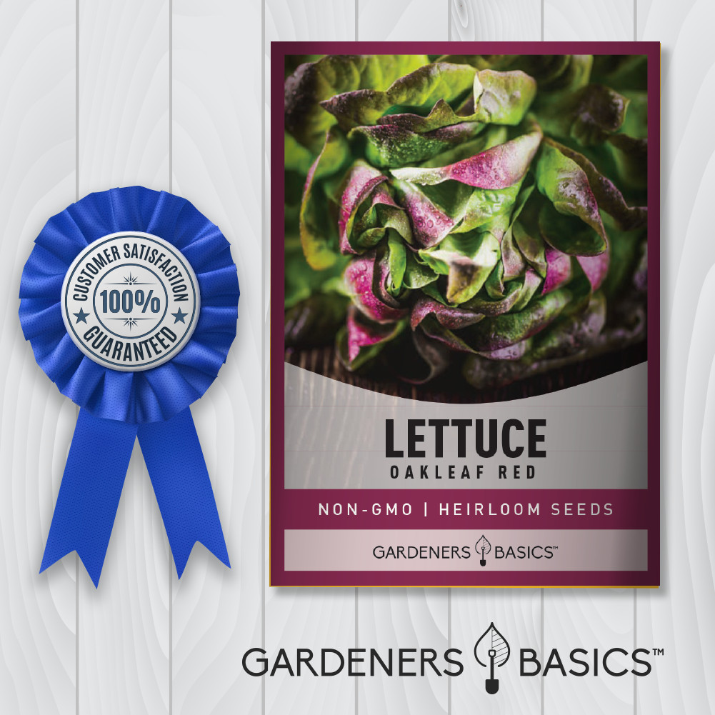 Red Oakleaf Lettuce Seeds
