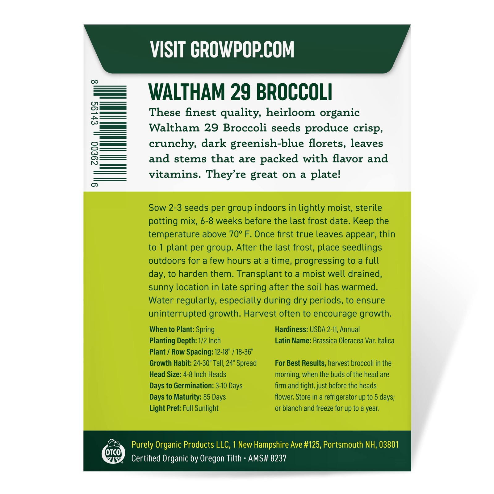 Purely Organic Broccoli Seeds Waltham 29 – Approx 750 Seeds – USDA Organic,