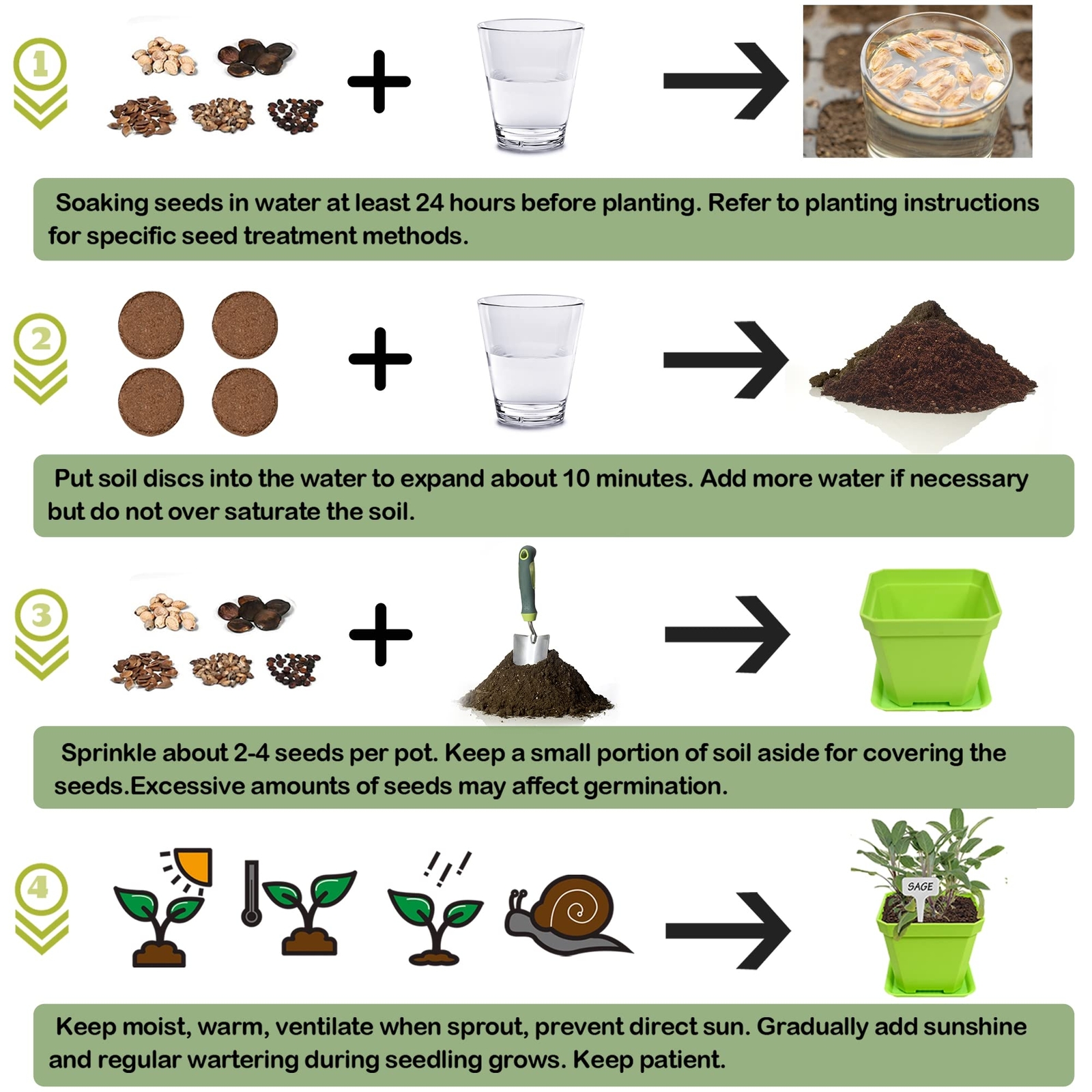 10 Herb Seeds Garden Starter Grow Kit Indoor Potted Plant Set for Kitchen