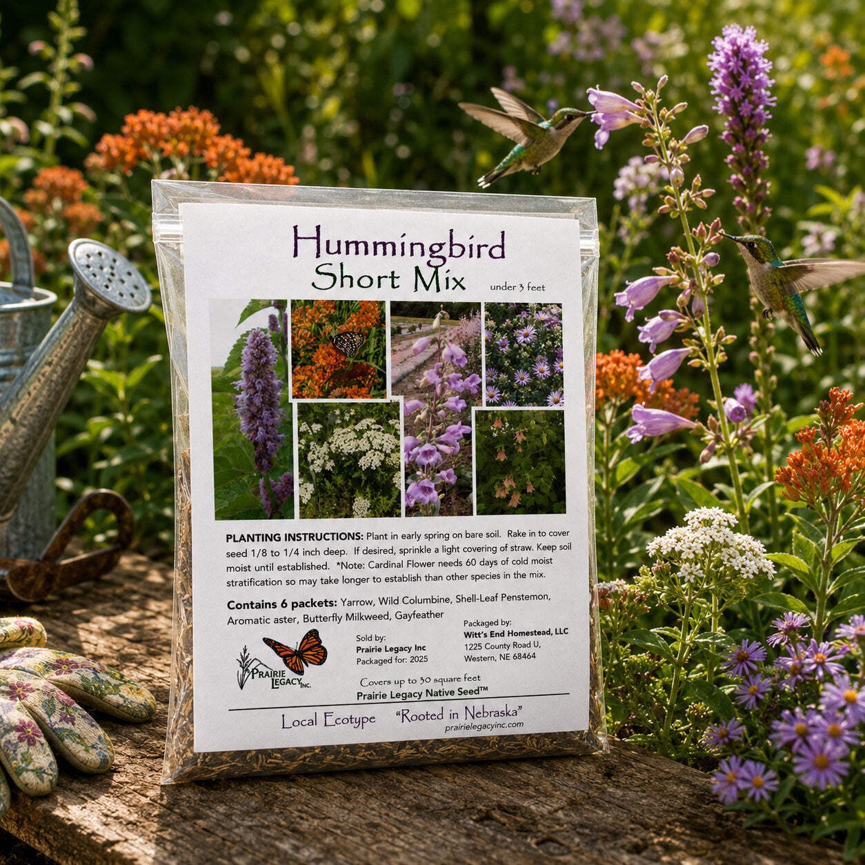 Mini Native Short Hummingbird Seed Mix | Prairie Legacy Inc.