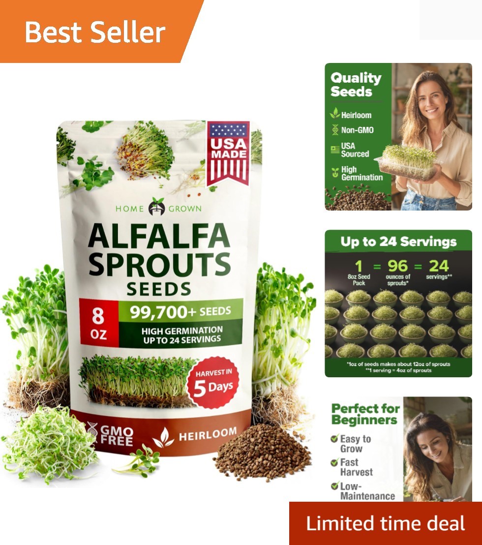 Alfalfa Sprout Seeds 8 oz Bulk Heirloom Non-GMO, Sourced, High Germination, …