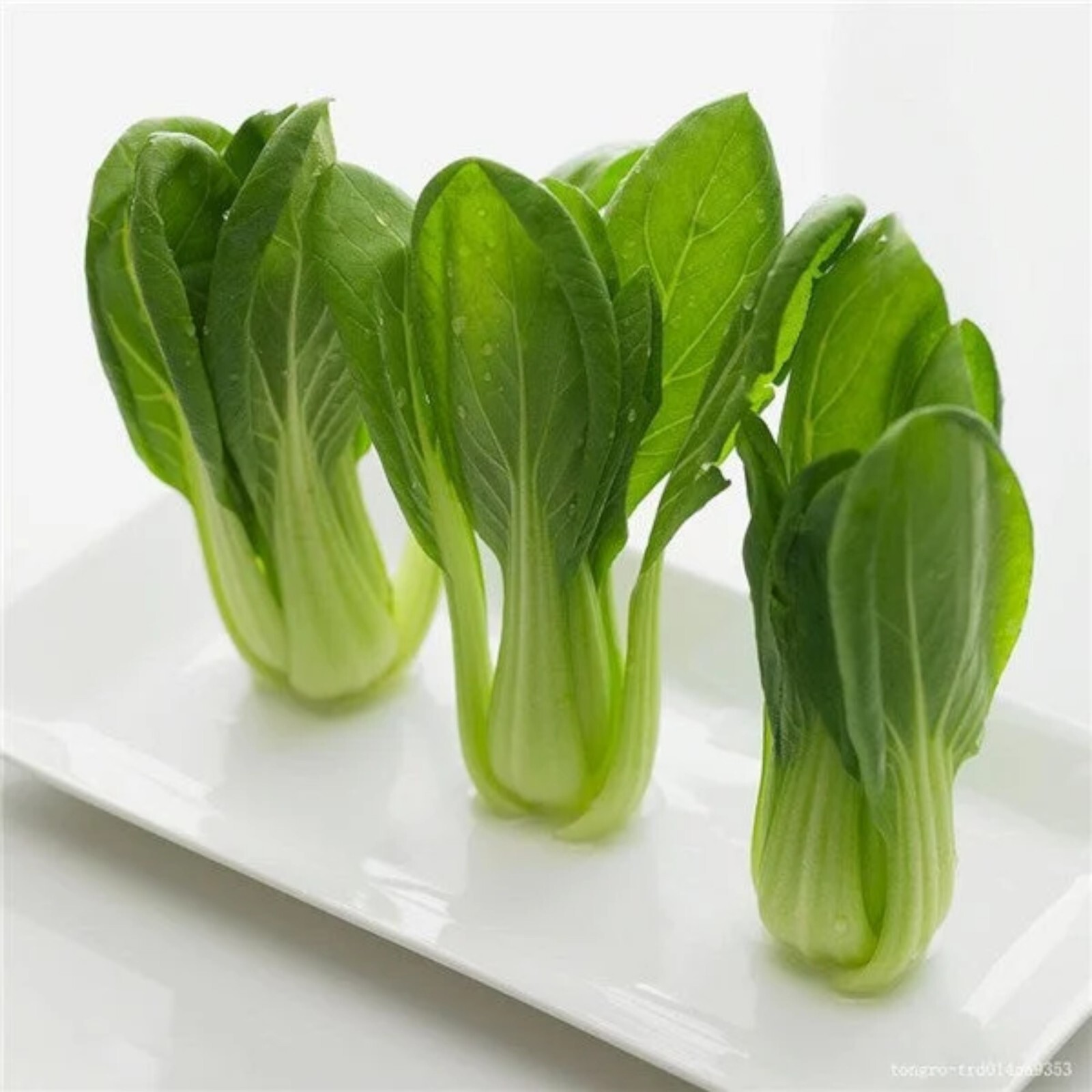 1000pcs ‘All Year Round’ Chinese Cabbage Seeds – Heirloom & Organic, Non-GMO.