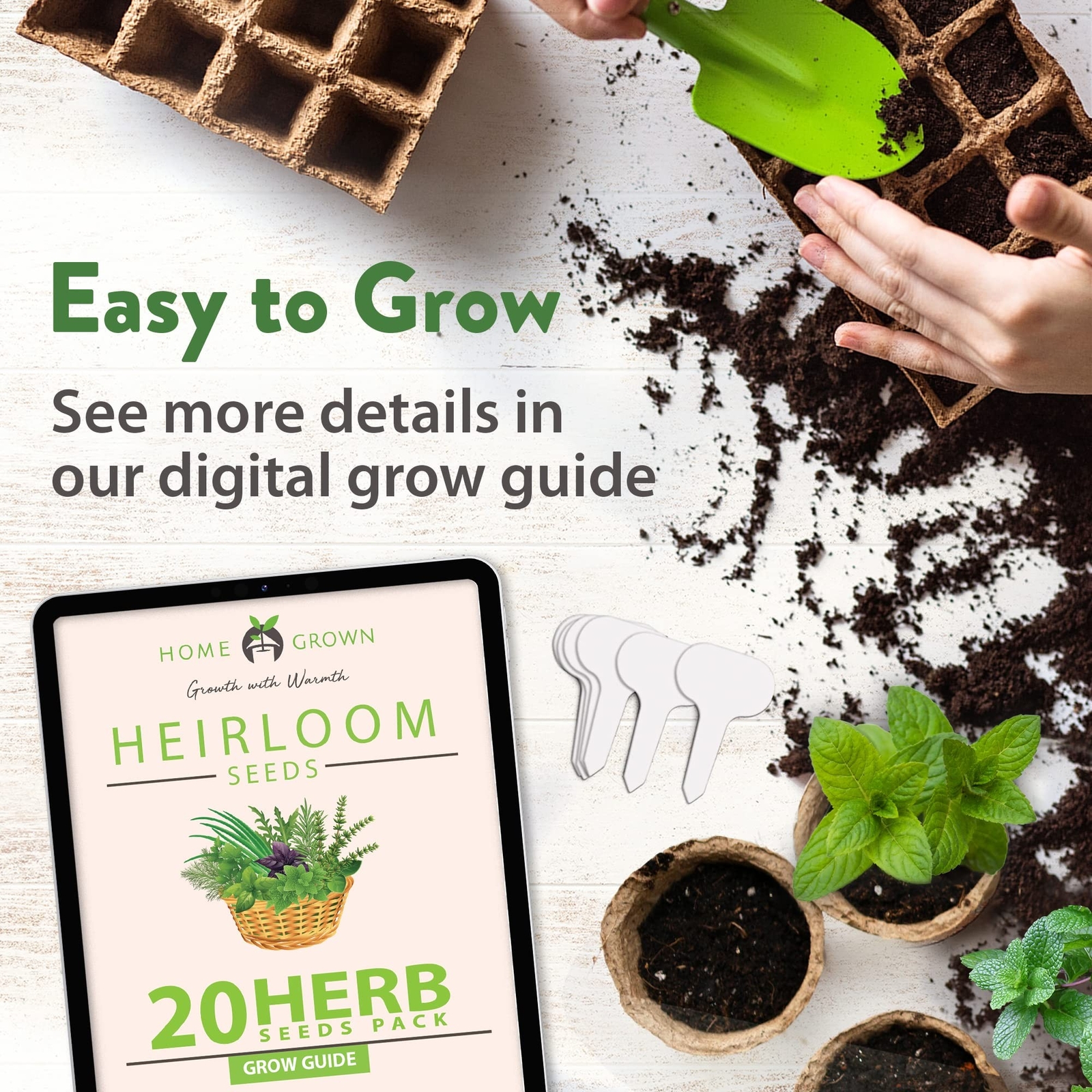 20 Culinary Herb Seed Vault – Heirloom and Non GMO – Seeds for Planting for I…