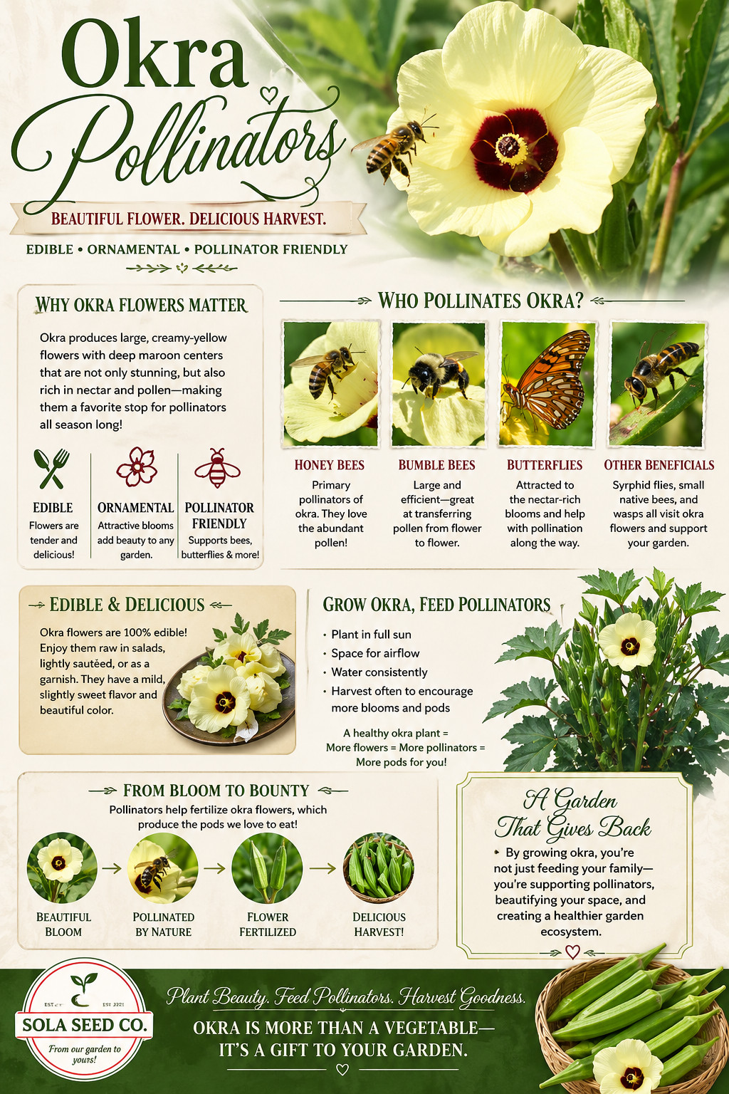 50 Southern Hauler Okra Seeds. Plant Selection for Vigor and Production. Non-GMO