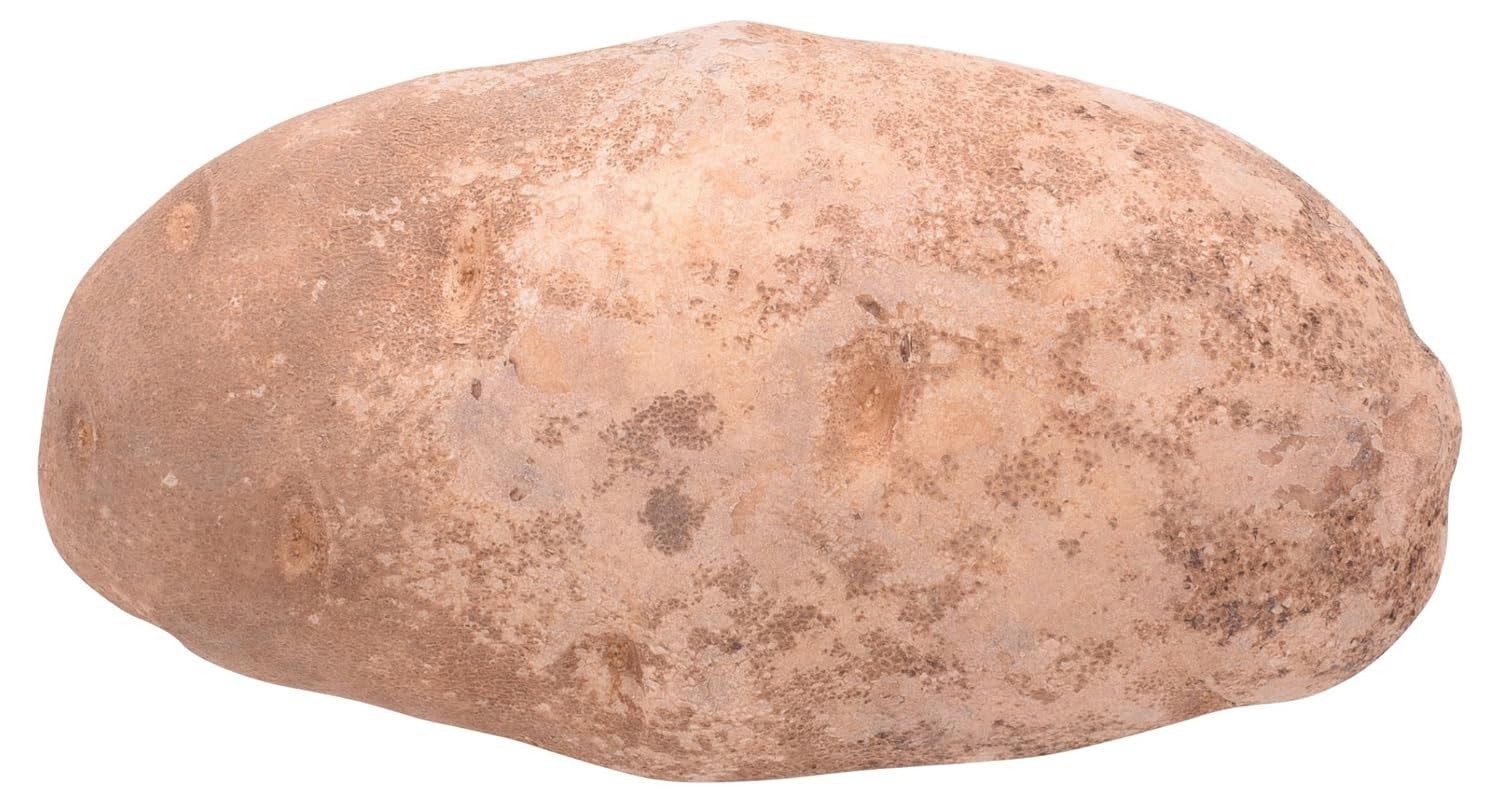 Deliciously Versatile Russet Potato, 1 Count – Perfect for Mashed & Baked Dishes