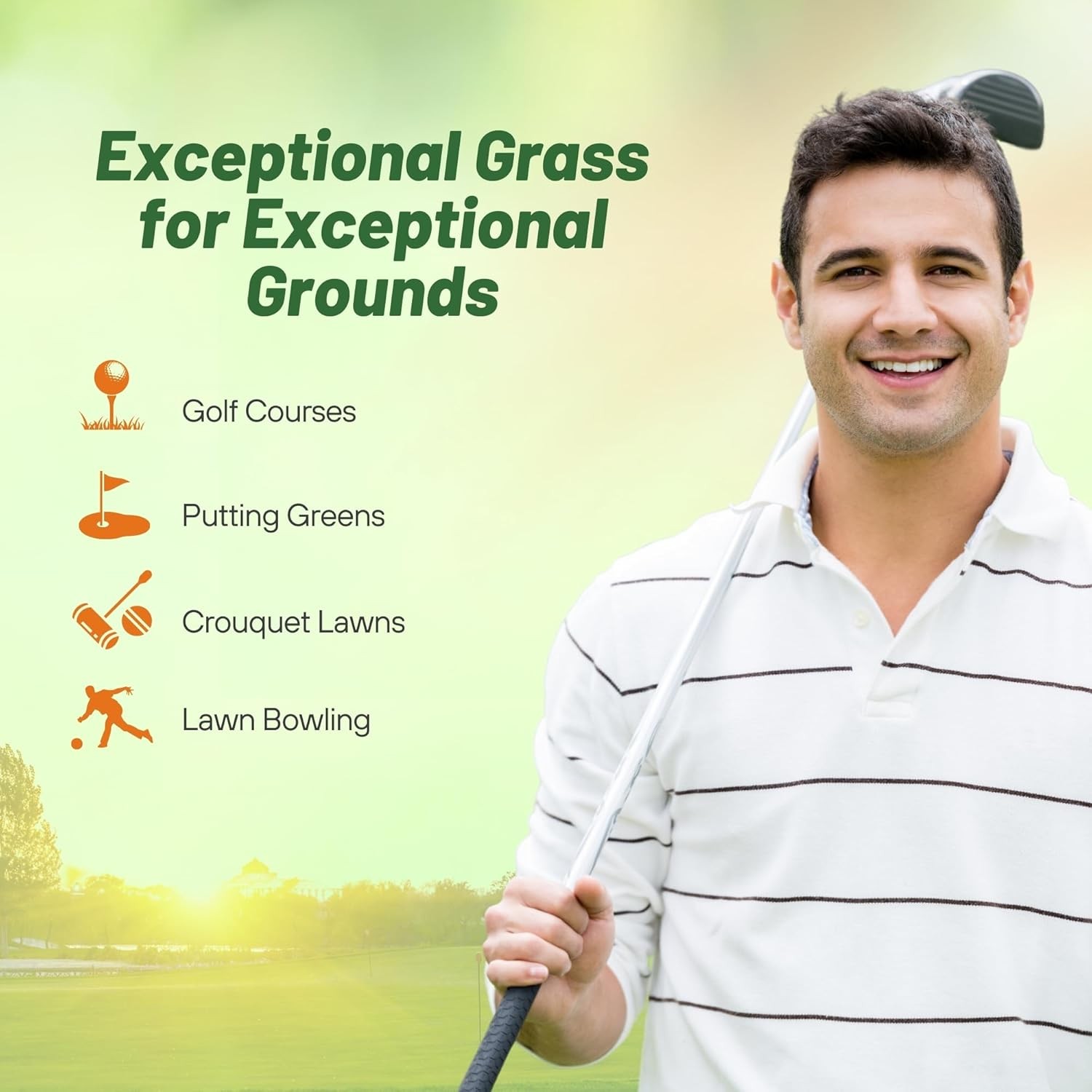 1 LB PC2.0 Penncross Creeping Bent Grass Seed – Putting Green Seed