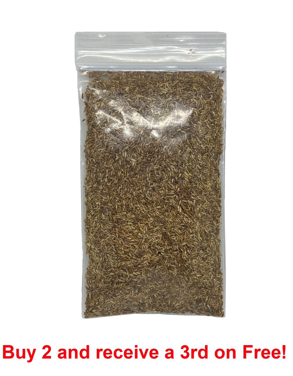 Zenith Zoysia 12,000+ Grass Seeds for a Healthy, Low-Maintenance Lawn – 1 ounce