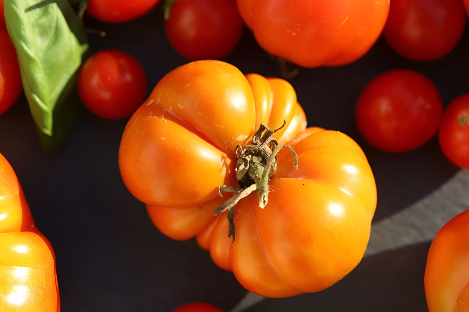 100 Heirloom Persimmon Tomato Seeds – Large 1-2lb Indeterminate Orange Beefsteak