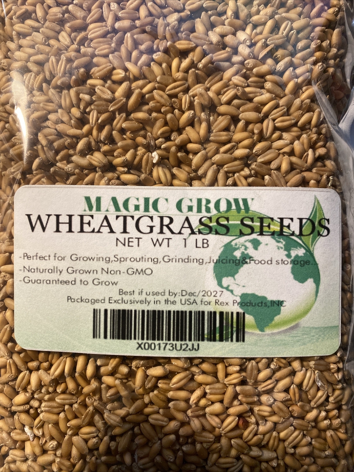 Wheat Grass Seed 1 LB (13,500+seeds) – Guaranteed to Grow !