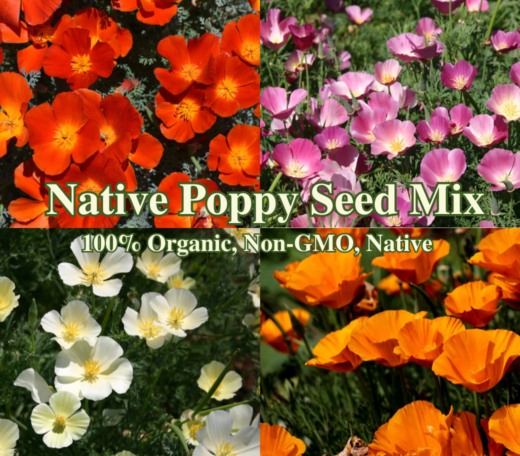 California Native Poppy Seed Mix