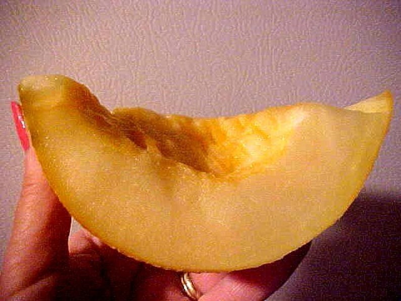 The Sweetest Known “PECOS” CANTALOUPE Melon SEEDS. Very Hard To