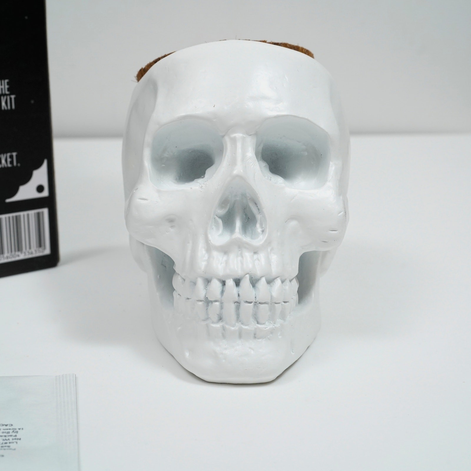 Skull Planter Cactus Grow Kit Macabre Gothic Decor Novelty Gift New in Box