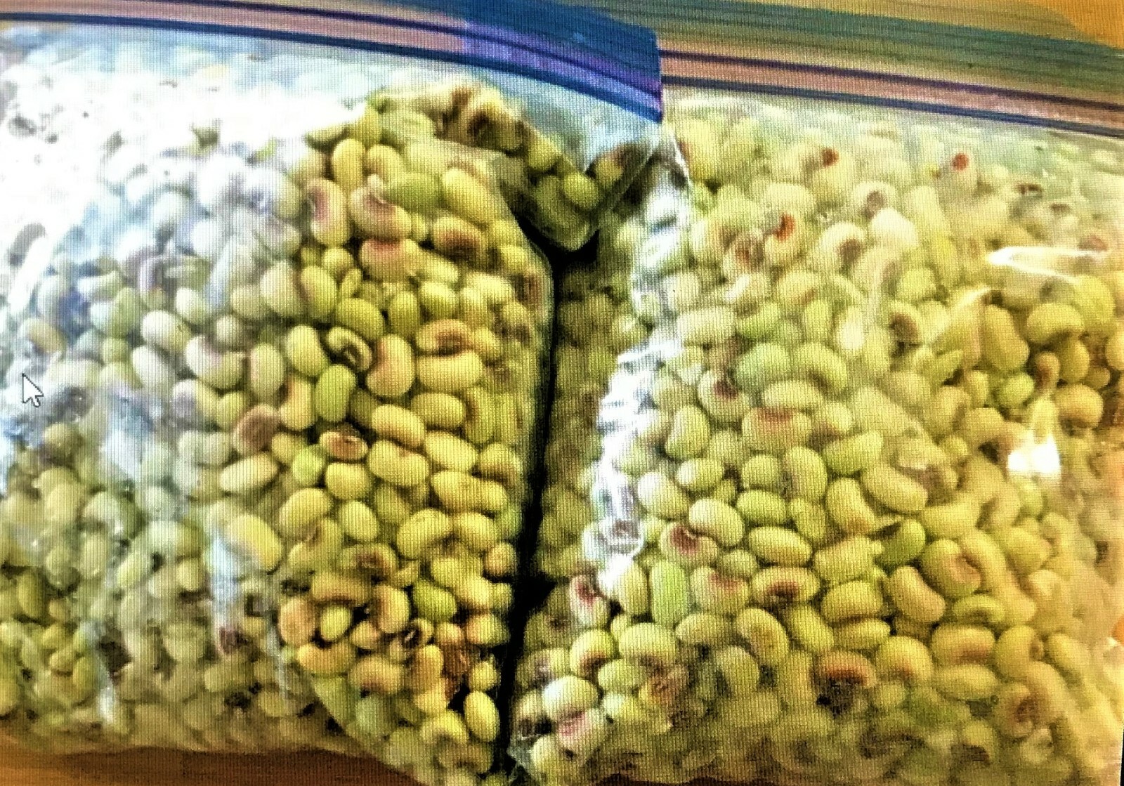 TOP PICK Pinkeye Purple Hull Peas 1000+~8oz Seed Southern Cowpea Germination 80%