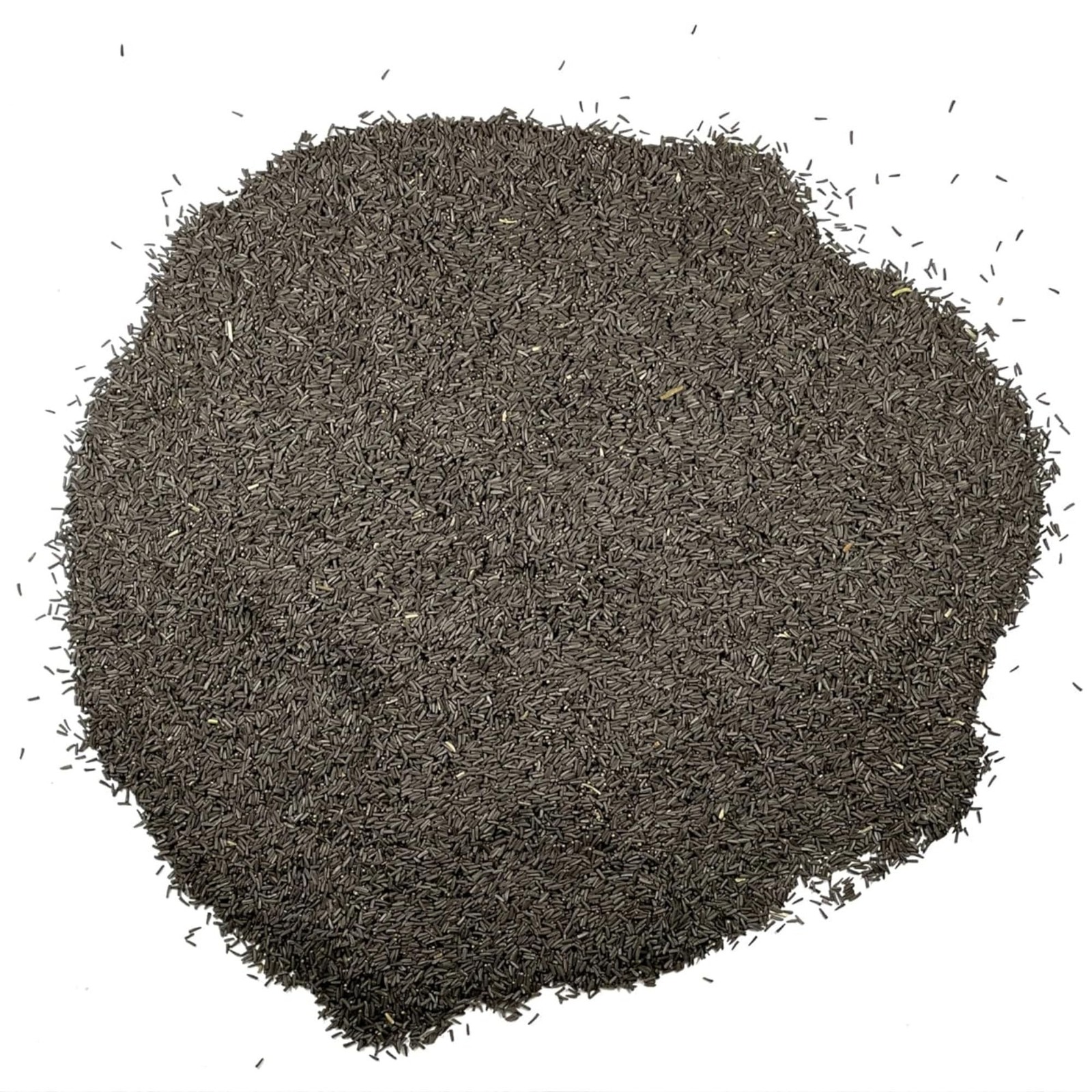 Seed Needs Black Eyed Susan Seeds for Planting 1200 Seeds Rudbeckia Hirta