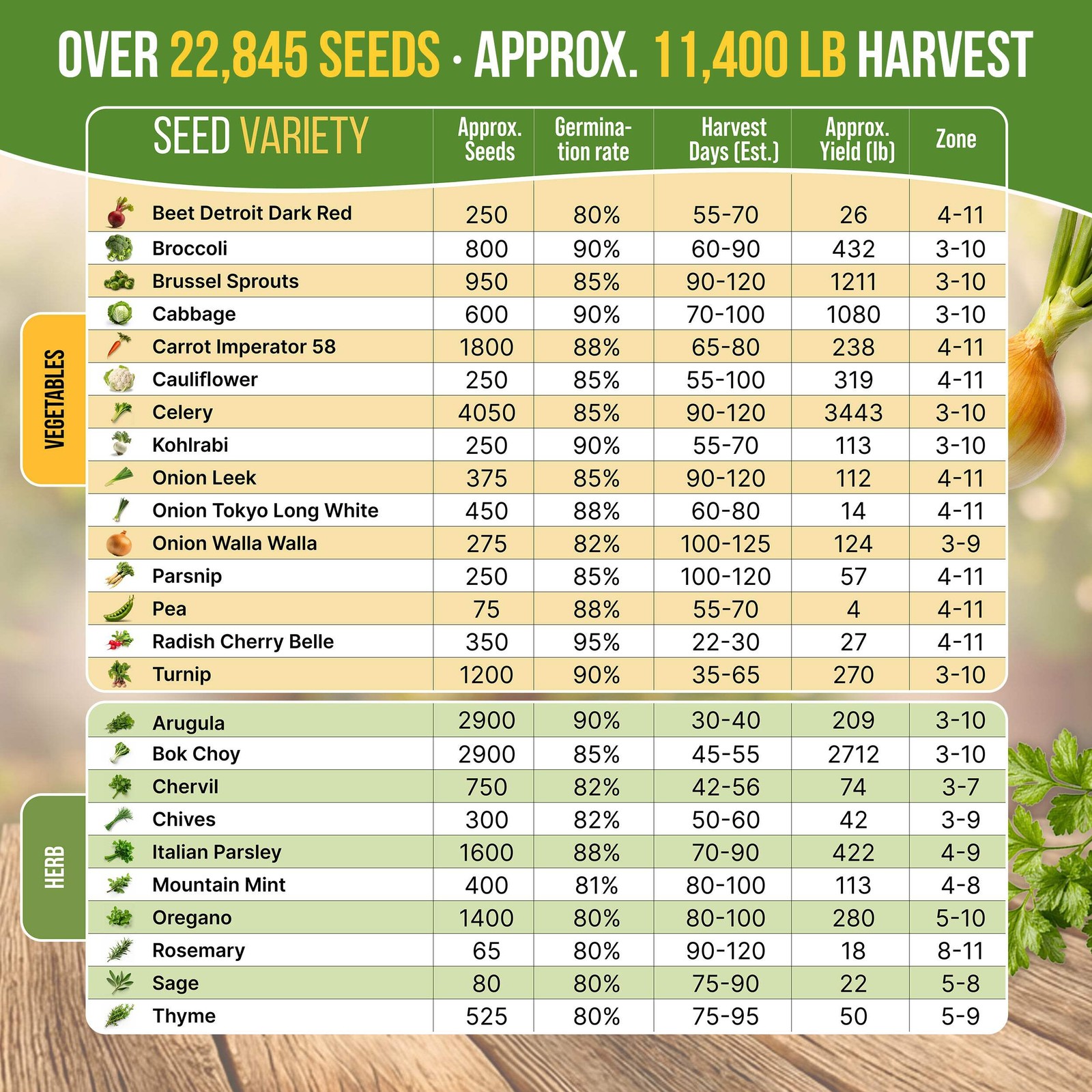 25 Winter Vegetable & Herb Seeds Variety Pack