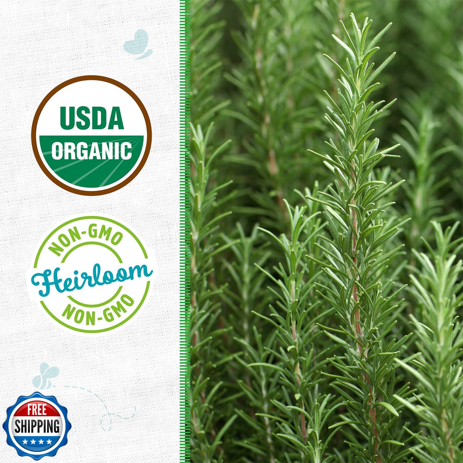 Back to the Roots 100% Organic Seed Packets – Rosemary (Pack of 2)