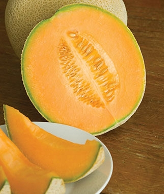 Cantaloupe Hale’s Best Seed – 1 Packet