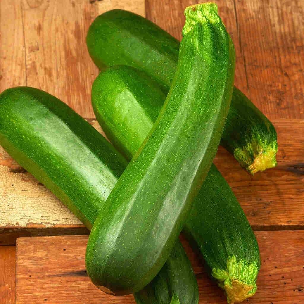 20 Fresh Dark Green Zucchini Summer Premium | NON-GMO | Squash Seeds-B 23