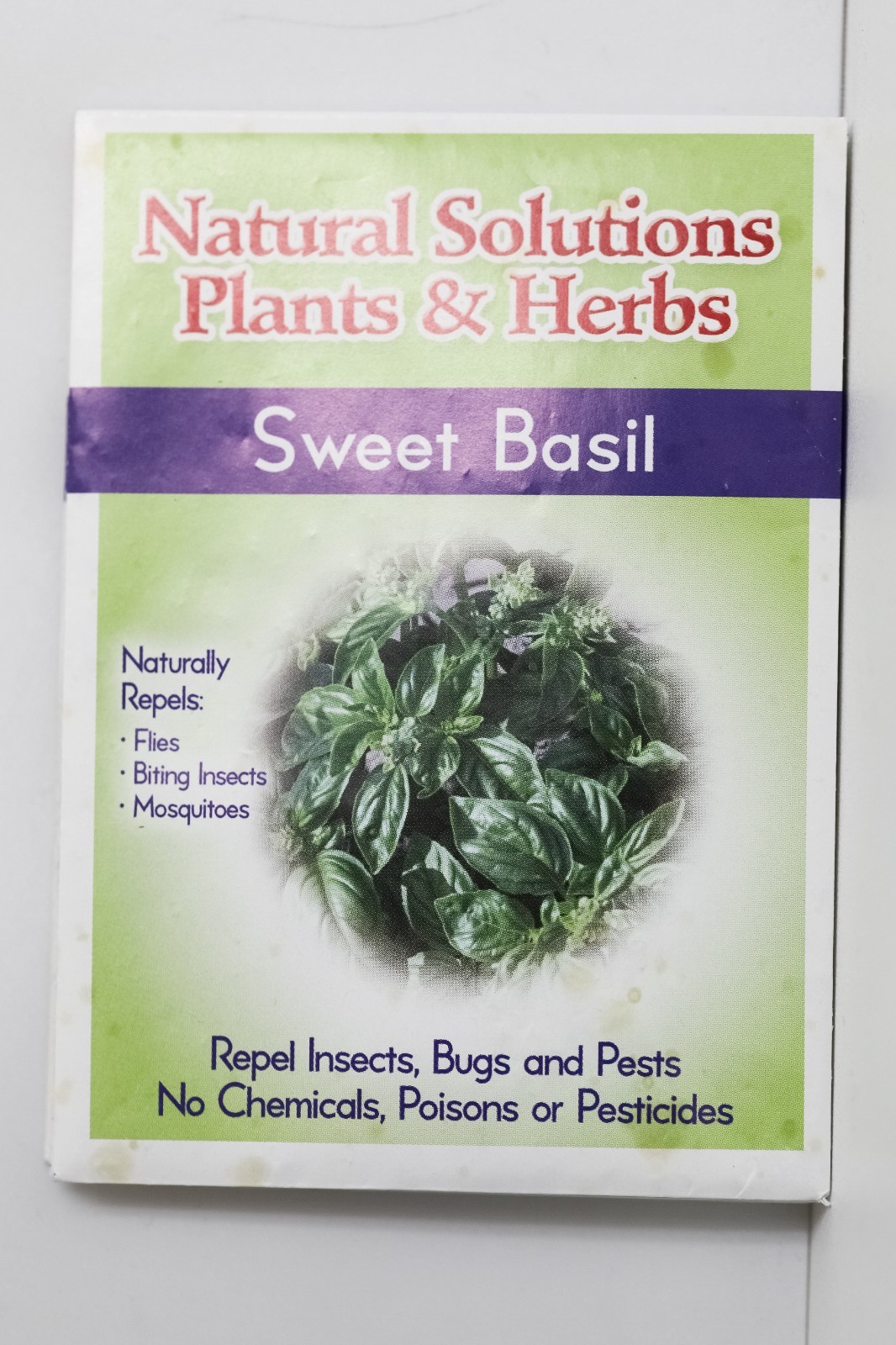 Natural Solutions Plants & Herbs Variety 10 pack of Seeds Holistic Remedies Pest