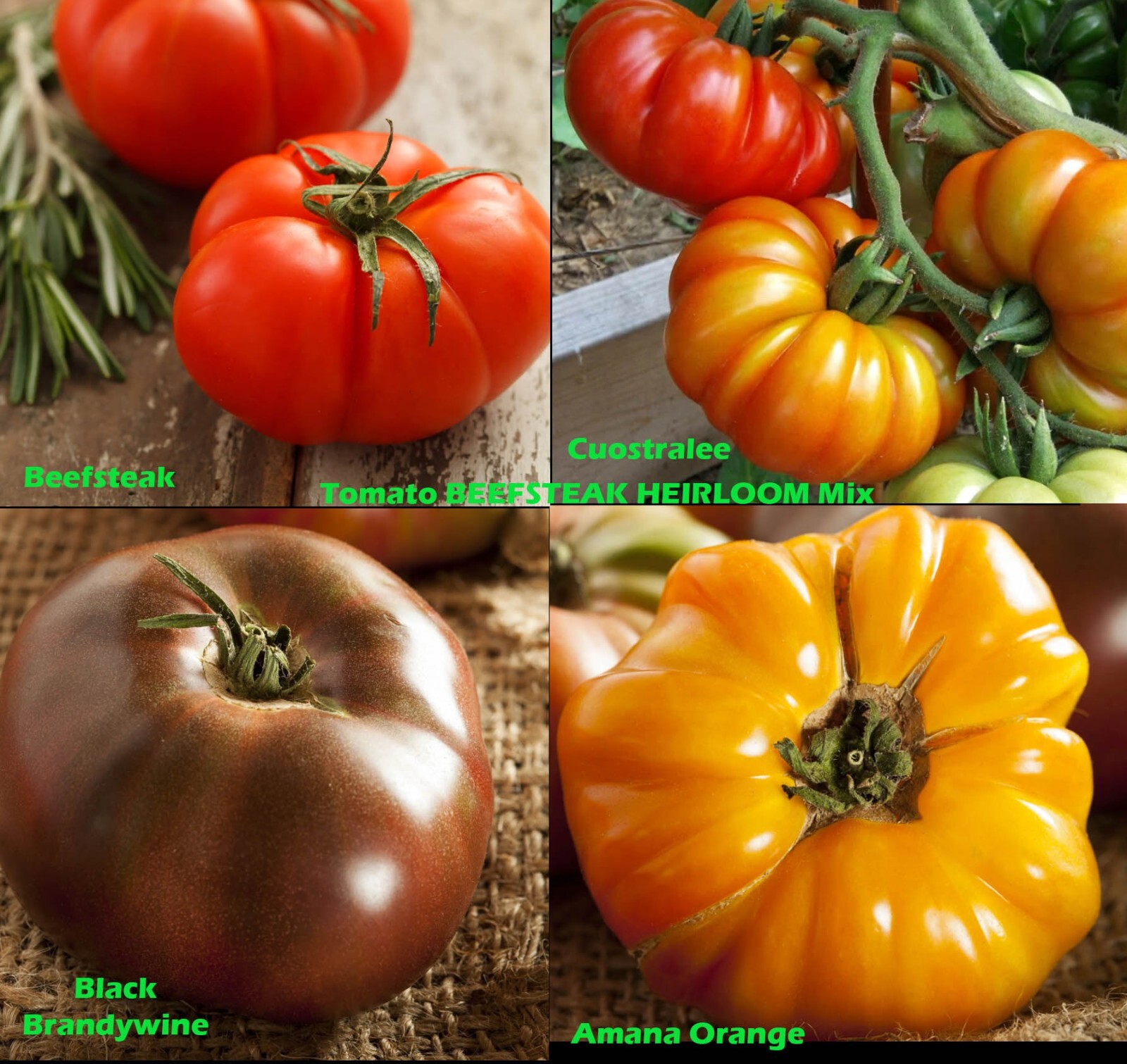 Tomato Mix BEEFSTEAK HEIRLOOM Tomatoes Colorful Indeterminate Non-GMO 100 Seeds!