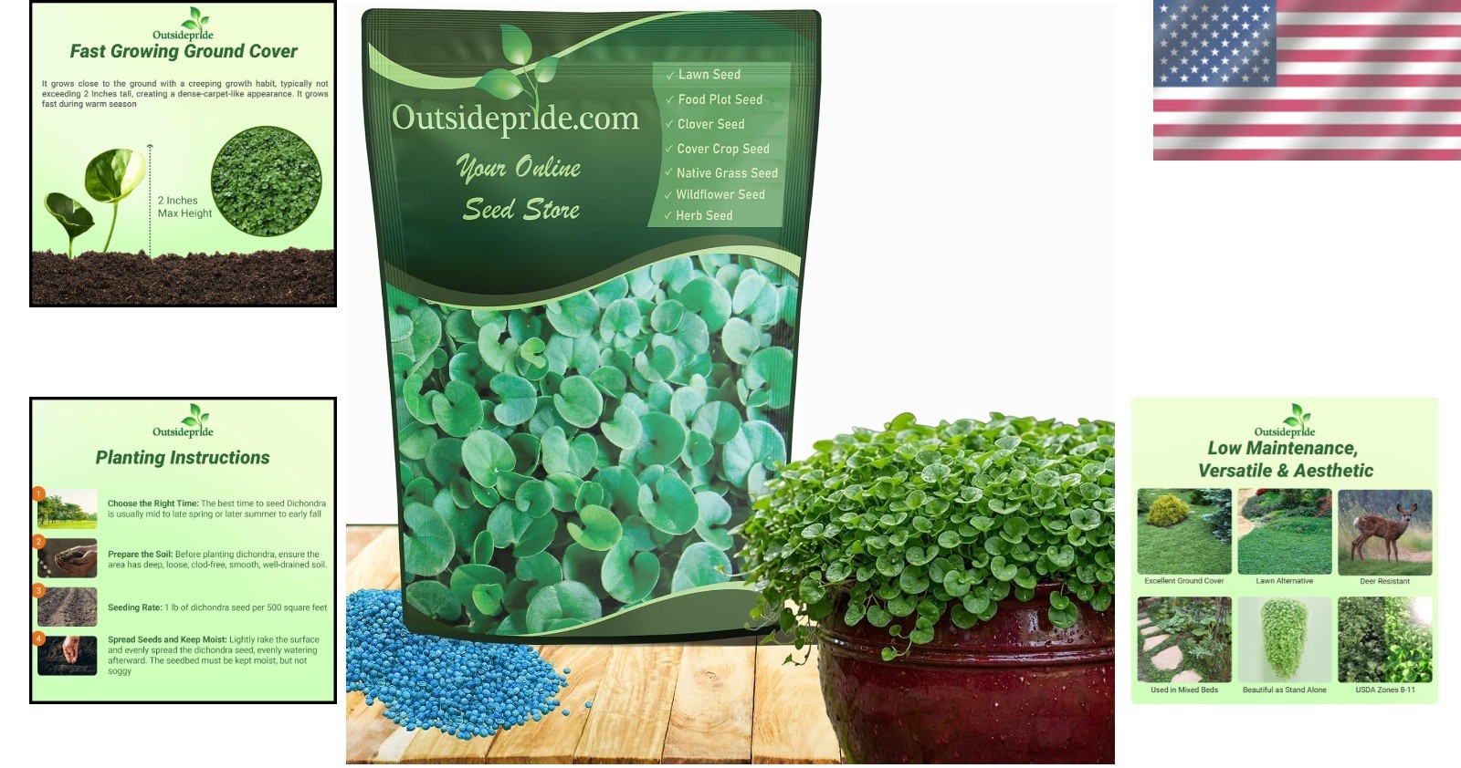 Lush Dichondra Repens Seeds – 2 lbs – Ideal Lawn Alternative
