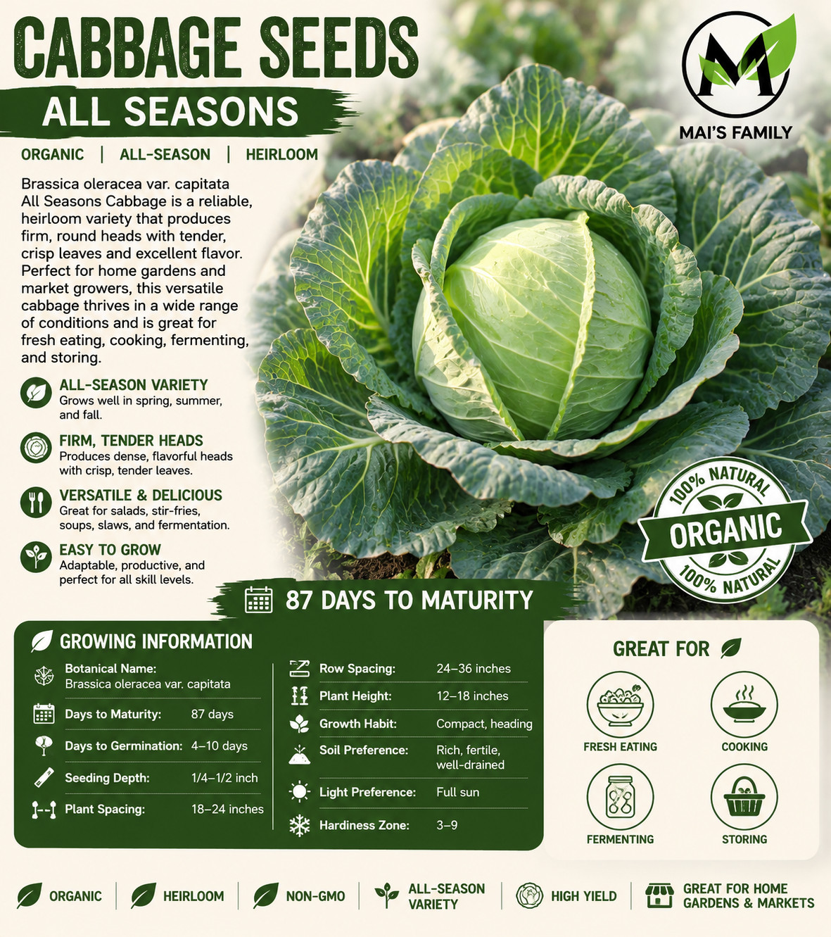 All Seasons Cabbage Seeds, Organic Heirloom Green Cabbage Vegetable Seeds