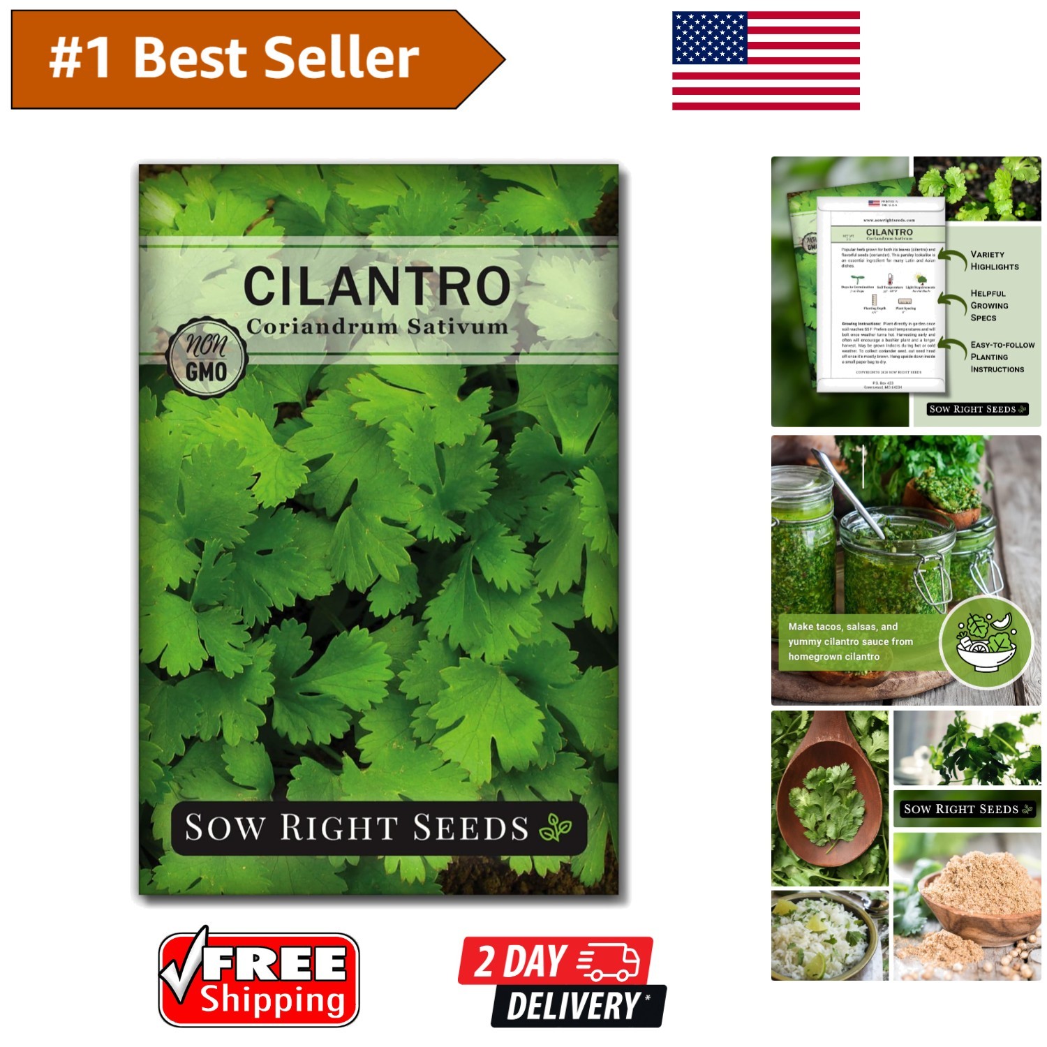 Quick-Cultivate Heirloom Cilantro Seeds – Non-GMO Pack for Zesty Culinary Value