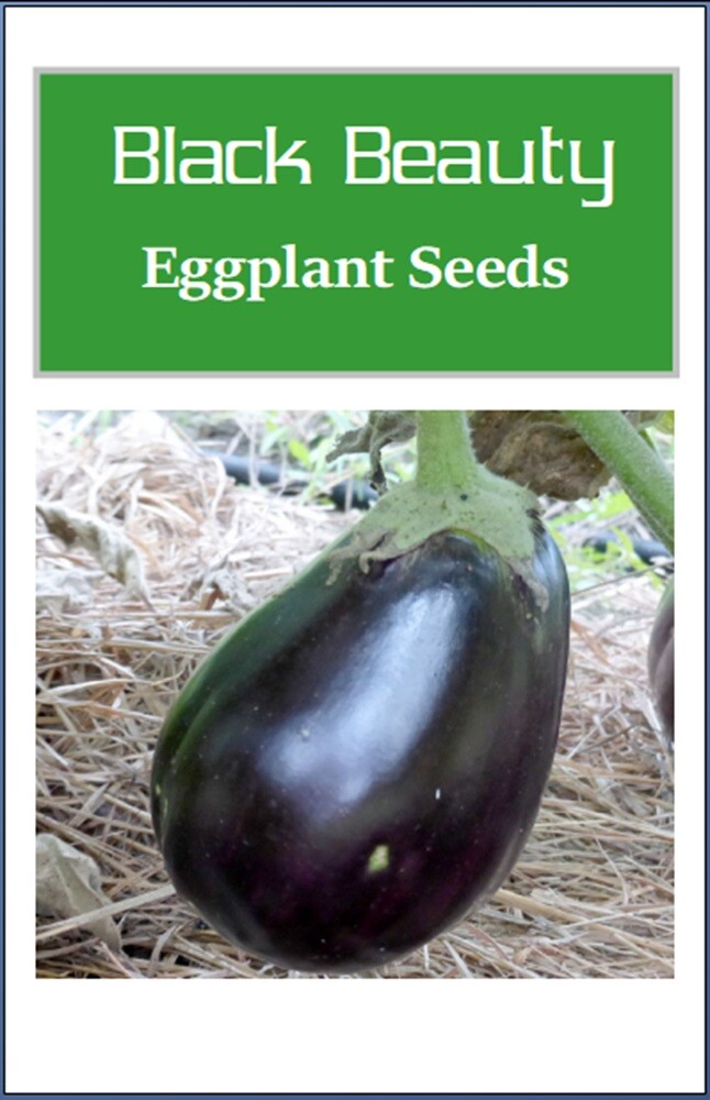 Black Beauty Eggplant Seeds | NON-GMO | Heirloom | Fresh Garden Seeds