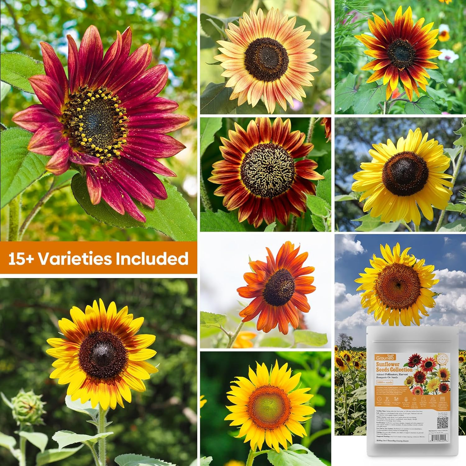 Sunflower Seeds for Planting, 15+ Varieties, 1 Oz, 300+ Mixed Seeds to Plant Col