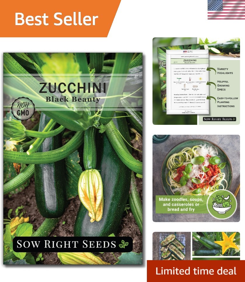 Non-GMO Black Beauty Zucchini Seeds – Heirloom Garden Pack for Container Growers