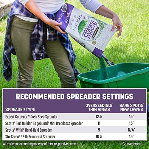 7 lb Pennington Smart Seed Dense Shade Grass Seed for Low Sunlight Areas