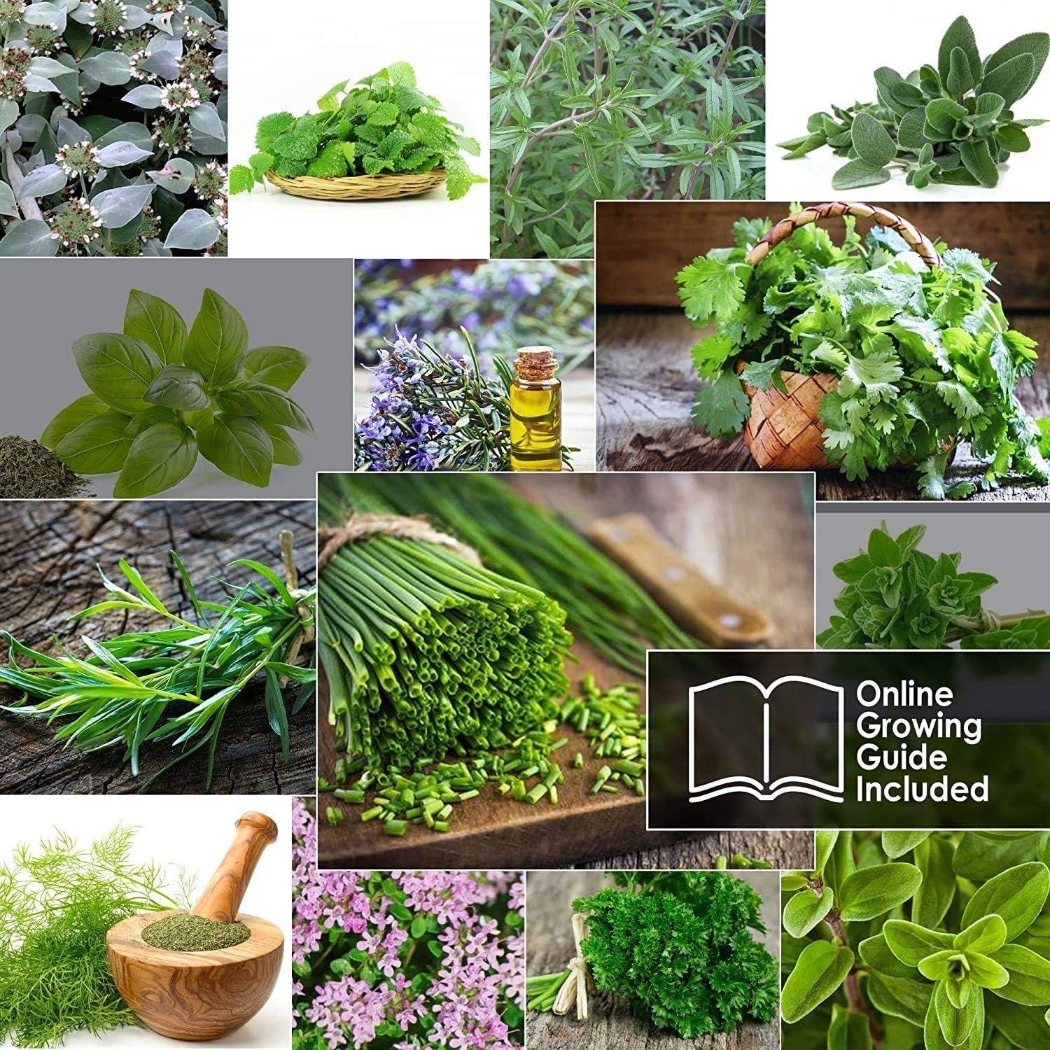 14 Herb Seed Pack Compatible Indoor Outdoor Non-GMO Heirloom Basil Parsley Di…