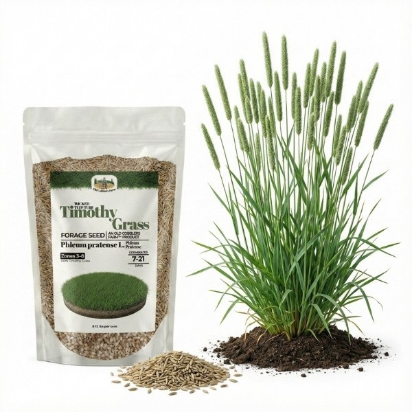 Old Cobblers Farm™ Wicked Tuff Turf Richmond Timothy Seed – High-Quality Forage