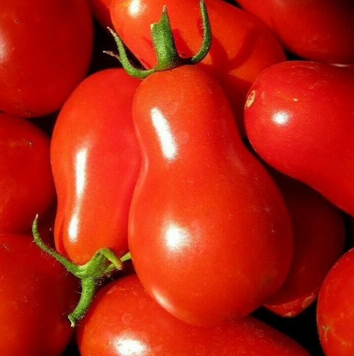 RED PEAR TOMATO SEEDS 100+ GARDEN vegetables SAUCE salad NON-GMO FREE SHIPPING