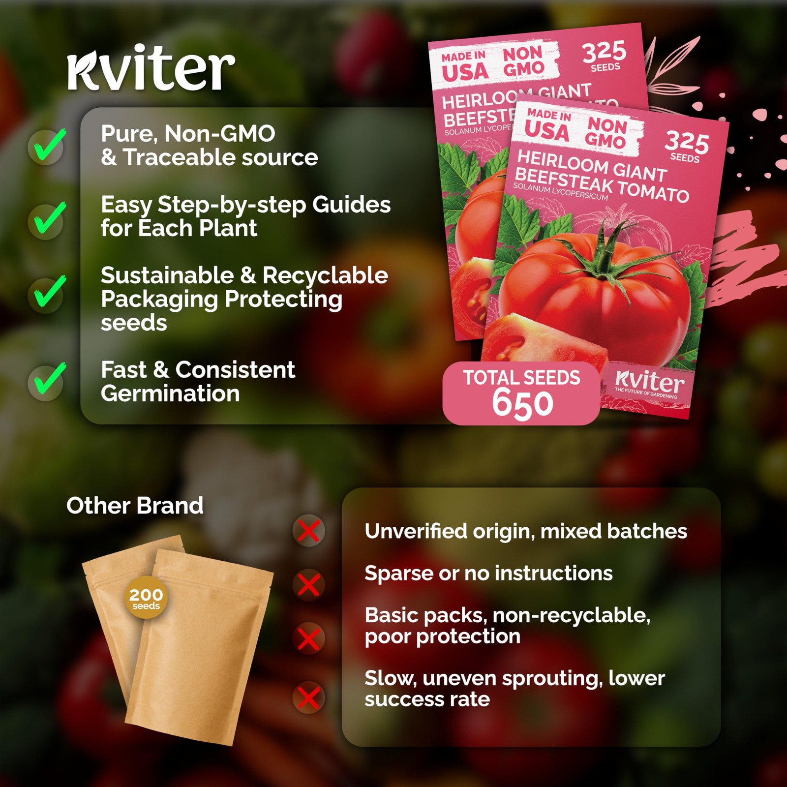 KVITER 650 Giant Beefsteak Tomatoes Seeds (Solanum lycopersicum), 2 Pack