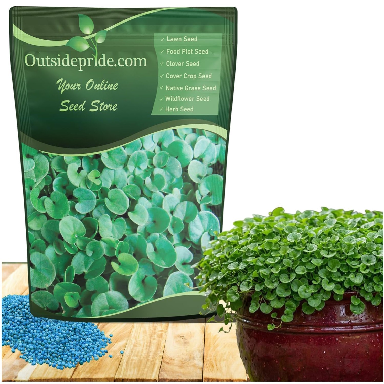 Lush Dichondra Repens Seeds – 2 lbs – Ideal Lawn Alternative